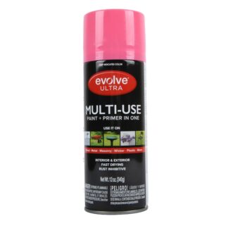 Color Care Spray Paint Pink Gloss 12 Oz