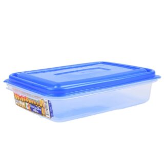 Plastic Rectangular Container Asst Colors 20 Oz
