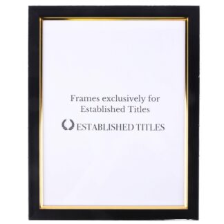 Document Frame With Gold Trim 8.5 X 11 In