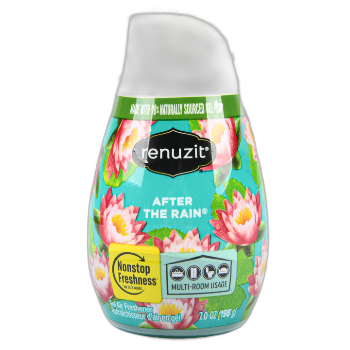 Renuzit Cones After The Rain 7 Oz