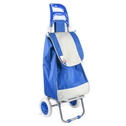 Shopping Cart Solid Color 12"X21"X8"
