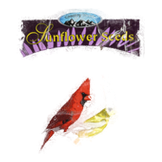 Bird Seed Blk Sunflower 1Lb