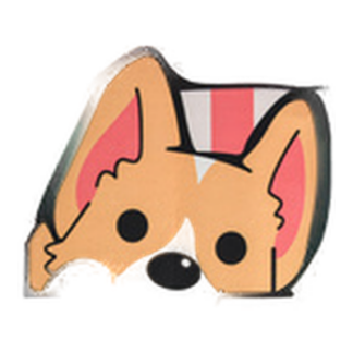 Door Mat W/ Pet Picture Asst Design 15.7" X 23.6"