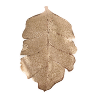 Placemat Leaf Design Metalic Asst Color 12X17.7"