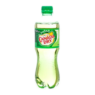 Canada Dry 16.9 Oz