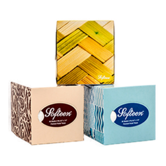 Softeen Facial Tissue 2-Ply 80Ct