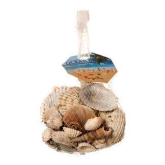 Seashells Mix