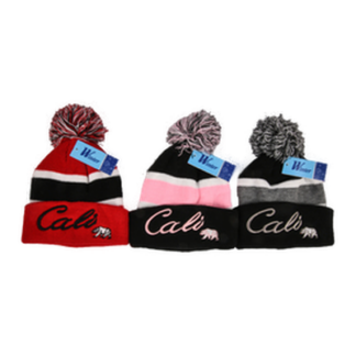 Hw Pilot Beanie Cali Dsgn Asst Clr #Ht350