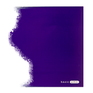 Bazic Portfolio Glossy 48Pcs W/ 2 Pockets & 3 Hole Punch 6 Asst Clr