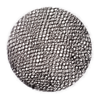 Hair Net 3Pc Black #Jj-1169