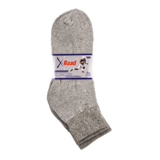 Sport Socks Men 2 Pair Ankle All Gray 9-11